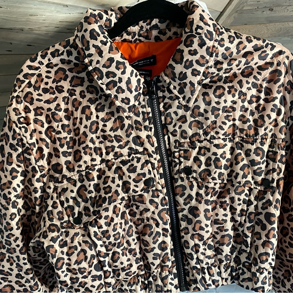 Zara Cropped Cheetah Jacket